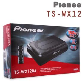Loa Pioneer TS-WX120A